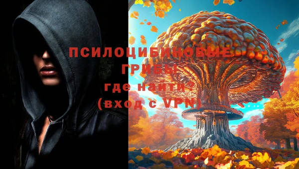 COCAINE Медвежьегорск
