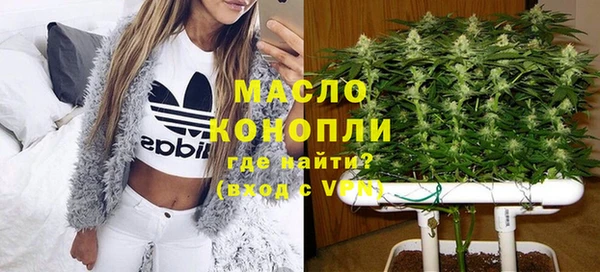 гидра Мегион