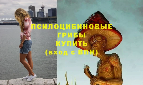 дистиллят марихуана Медногорск