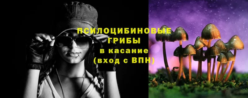 Галлюциногенные грибы Psilocybine cubensis  даркнет сайт  Вытегра 